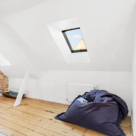 Ae208-aeroskobing-brogade-4 *